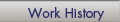 WorkHistory